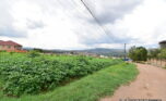 Big land in Gacuriro plut properties (5)