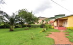 Big plot for sale plut properties (1)