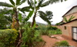 Big plot for sale plut properties (5)