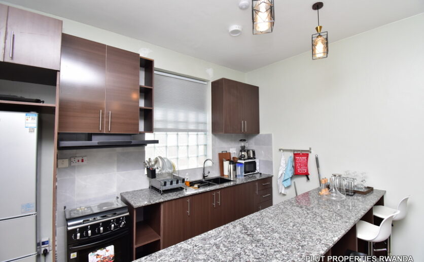 Beautiful apartment for rent plut properties (4)