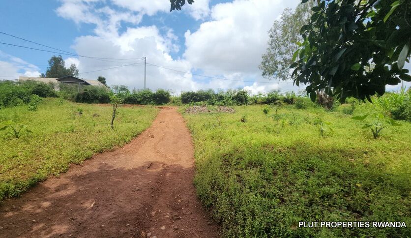 Buy in Rebero plut properties (3)