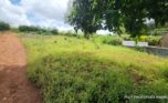 Buy in Rebero plut properties (5)