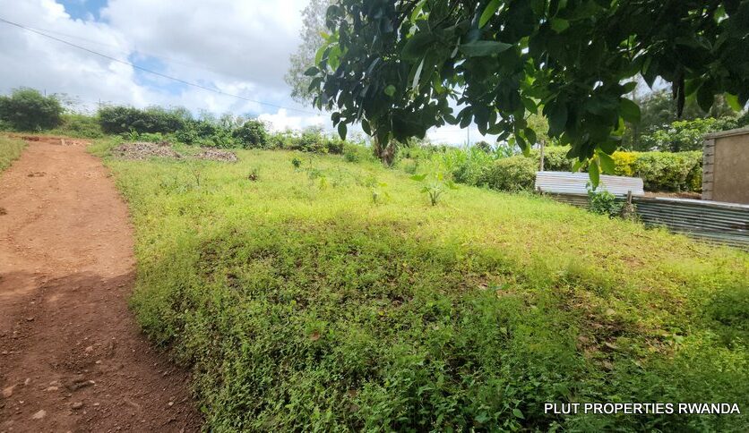 Buy in Rebero plut properties (5)
