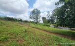 Buy in Rebero plut properties (6)