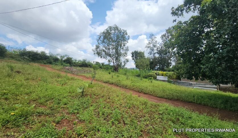 Buy in Rebero plut properties (6)
