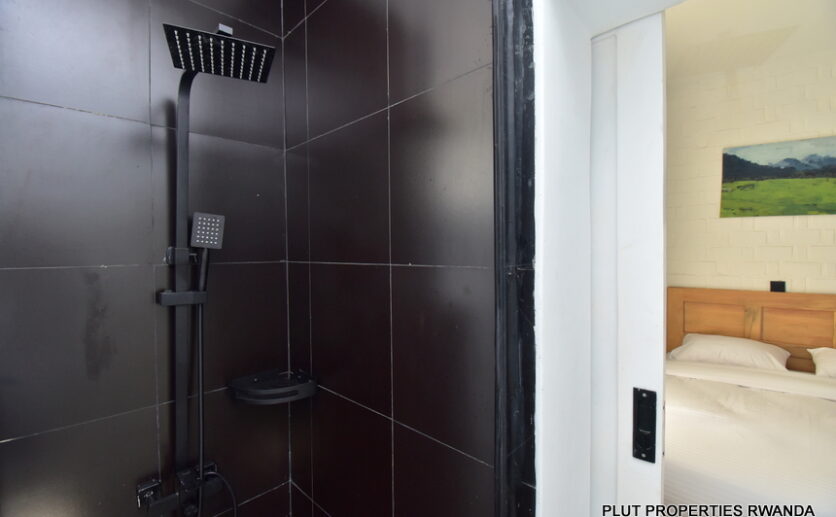 Fully furnished apartment for rent plut properties (10)
