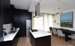Fully furnished apartment for rent plut properties (6)