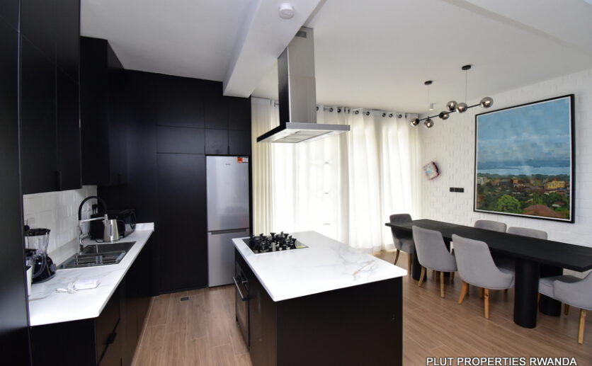 Fully furnished apartment for rent plut properties (6)