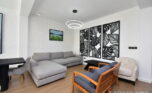 Fully furnished apartment for rent plut properties (7)