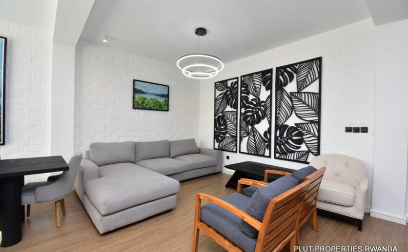Fully furnished apartment for rent plut properties (7)