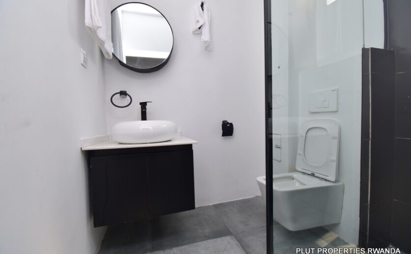 Fully furnished apartment for rent plut properties (9)