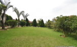 Gisozi house for rent plut properties 2 (14)