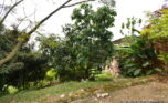 Plot for sale in Kacyiru plut properties (7)