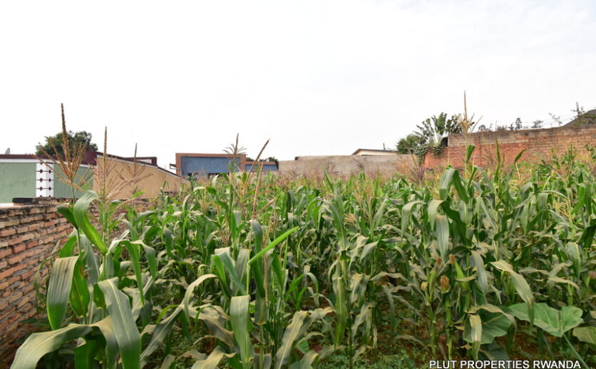 Plot for sale plut properties (1)