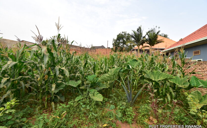 Plot for sale plut properties (2)
