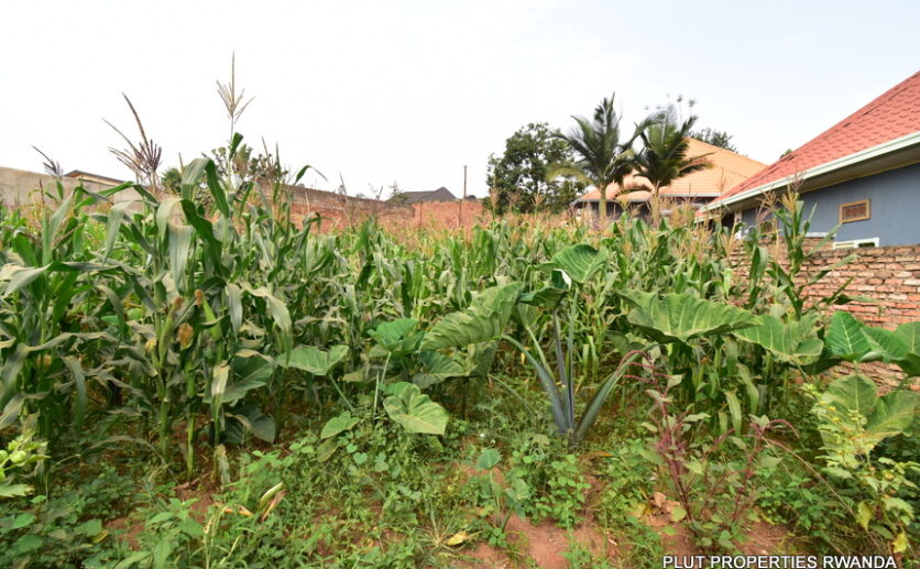 Plot for sale plut properties (3)
