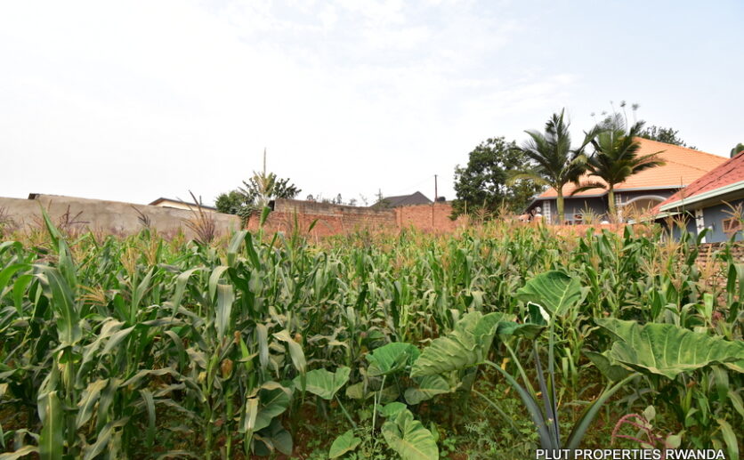 Plot for sale plut properties (5)