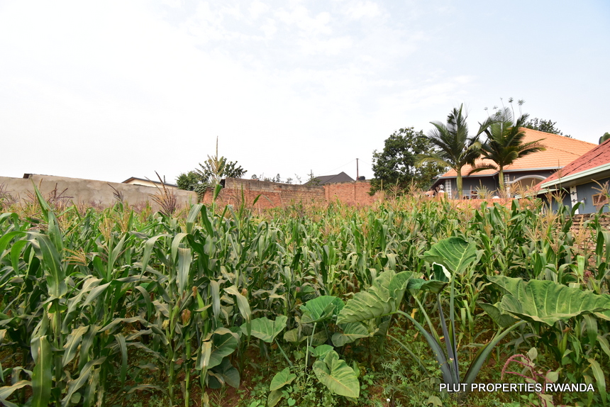Plot for Sale