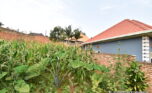 Plot for sale plut properties (6)