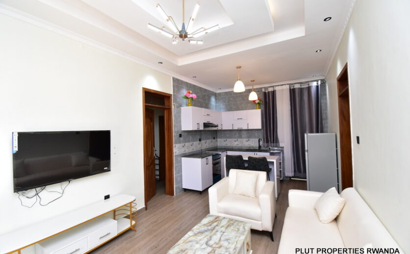 fully furnished house for rent in Kicukiro plut properties (2)