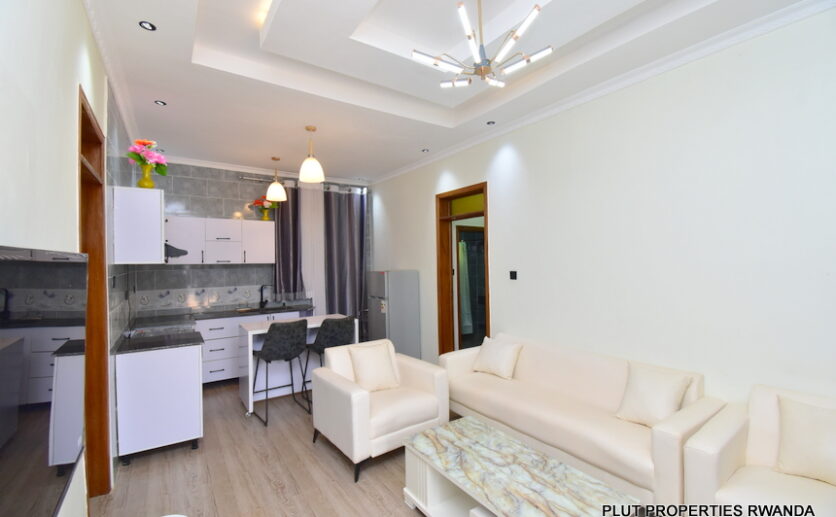 fully furnished house for rent in Kicukiro plut properties (3)