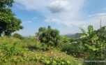 land for sale in Jabana plut properties (1)