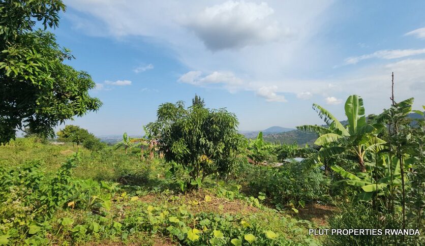 land for sale in Jabana plut properties (1)