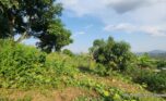 land for sale in Jabana plut properties (2)