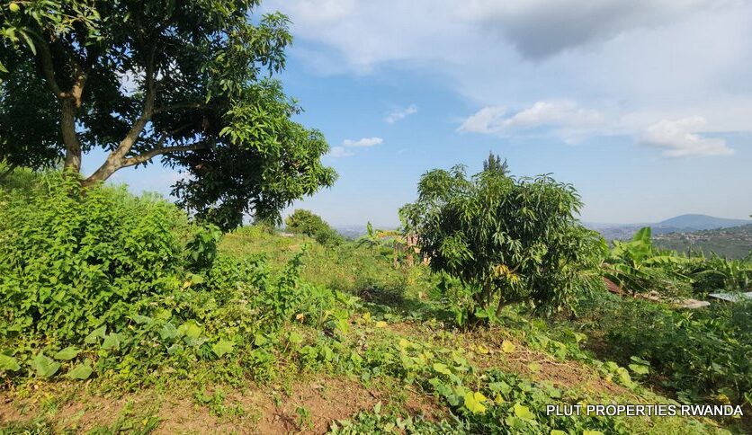 land for sale in Jabana plut properties (2)