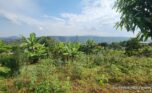 land for sale in Jabana plut properties (3)