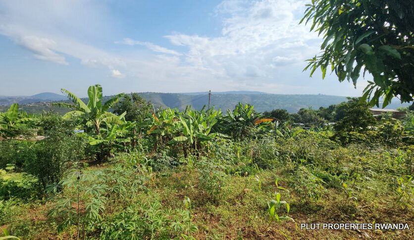 land for sale in Jabana plut properties (3)