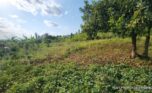 land for sale in Jabana plut properties (4)