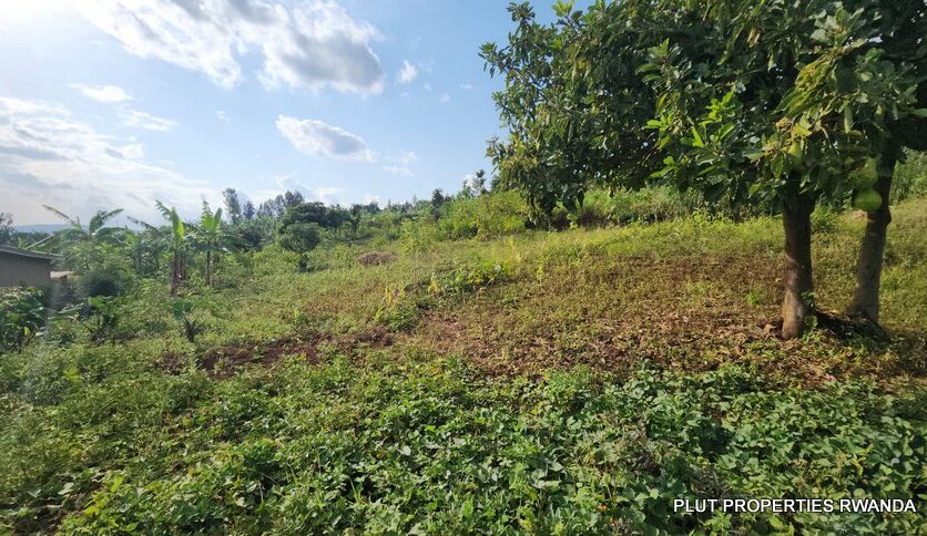 land for sale in Jabana plut properties (4)