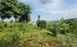 land for sale in Jabana plut properties (6)