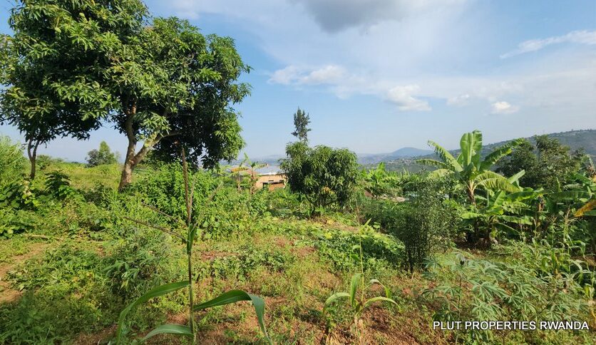 land for sale in Jabana plut properties (6)