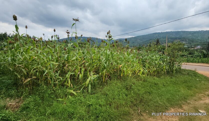 land for sale in Jabana plut properties (8)