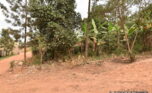 Big plot for sale in Rusororo plut properties (1)