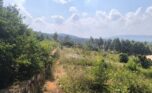 Big plot for sale in Rusororo plut properties (3)