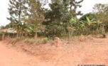 Big plot for sale in Rusororo plut properties (5)