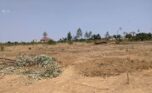 Bugesera land for sale plut properties (2)