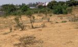 Bugesera land for sale plut properties (3)