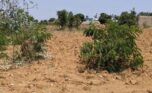 Bugesera land for sale plut properties (4)