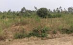 Buy land in Bugesera plut properties (1)