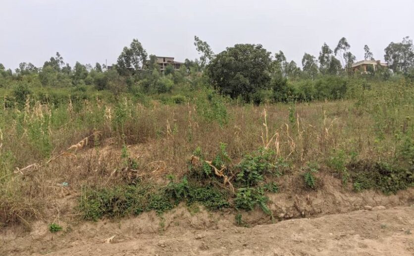 Buy land in Bugesera plut properties (1)