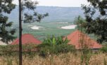Buy land in Bugesera plut properties (2)