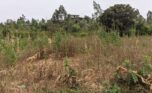 Buy land in Bugesera plut properties (3)