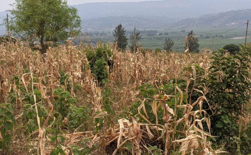 Buy land in Bugesera plut properties (4)