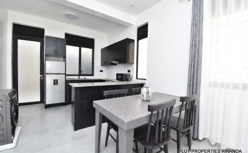 apartment for rent plut properties (1)