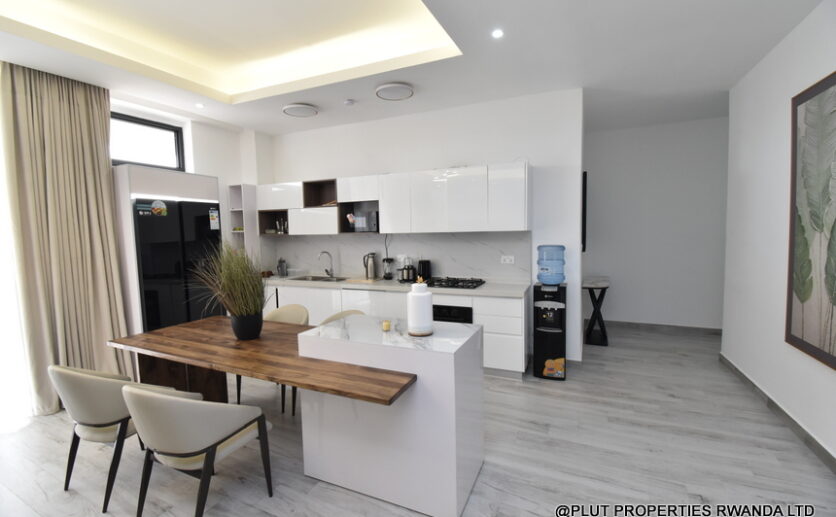 Beautiful fully furnished apartment in Kigali plut properties (11)
