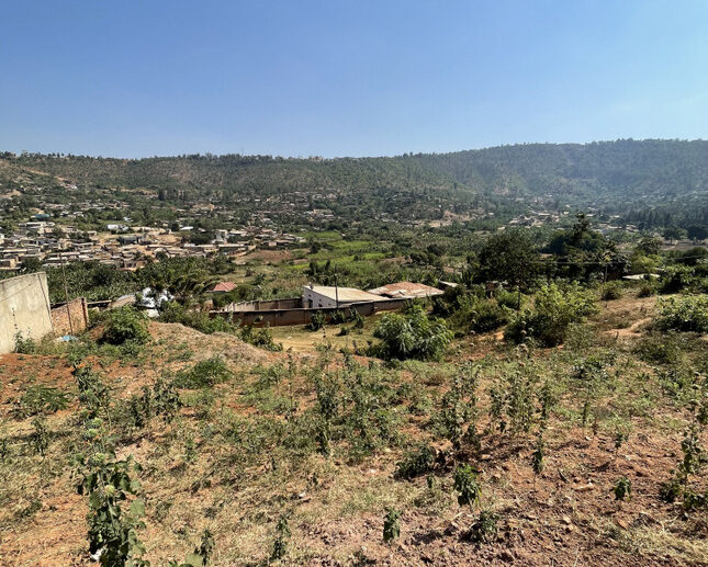 Buy land plut properties (3)